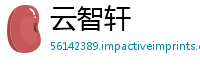 云智轩